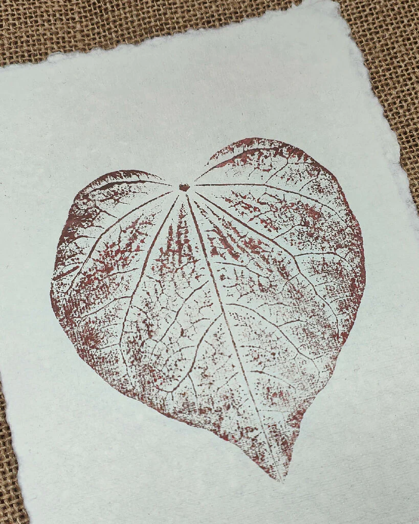 Cercis Canadensis Original Leaf Print in Rose Brown - Image 2