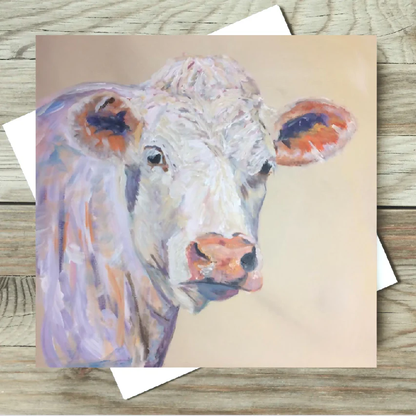 Charolais Cow Greeting Card