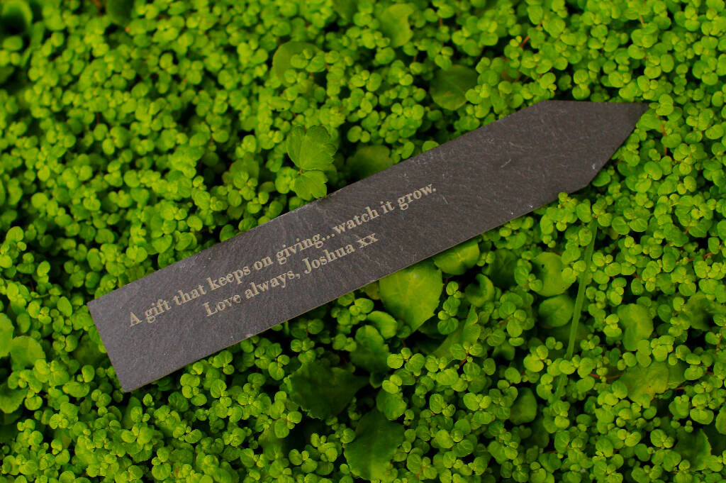 Cherry Plum Garden Gift Box - Image 2