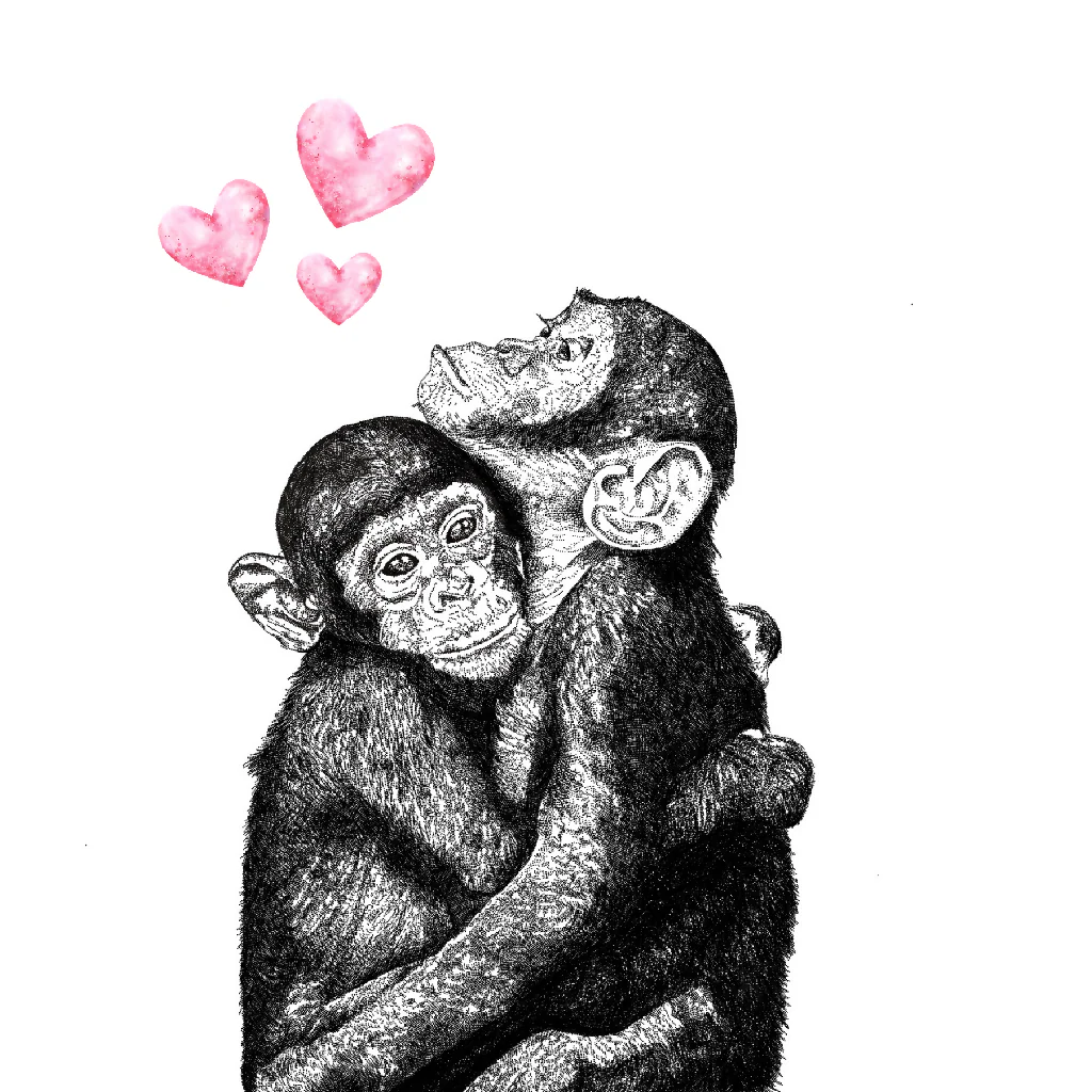 Chimpanzee Cuddles Love Greeting Cards - Image 3
