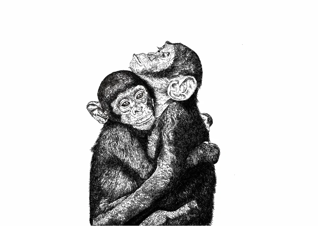 Chimpanzee Cuddles Love Greeting Cards - Image 4