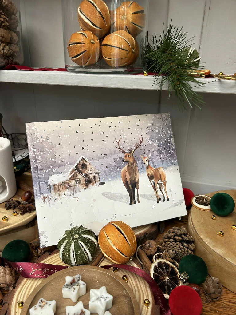 Christmas Wax Melt Advent Calendar - Image 15