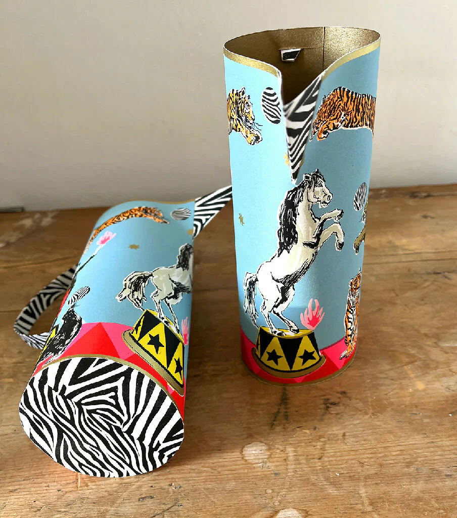 Circus Screenprinted Paper Jug (Handmade) - Image 3