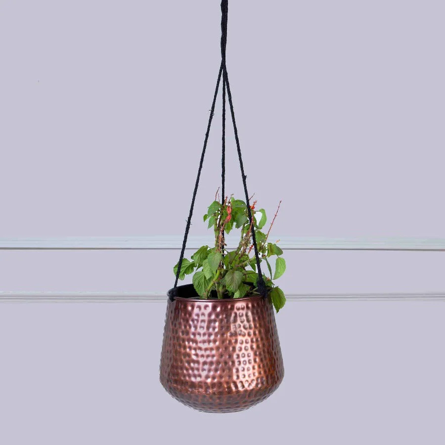 Copper Hanging Planters - Image 3