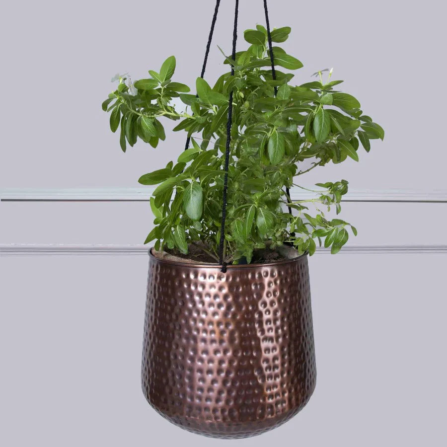 Copper Hanging Planters - Image 4