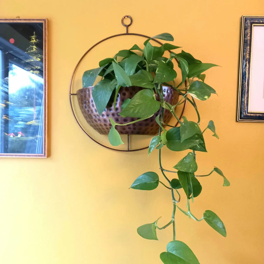 Copper Wall Planter - Image 3