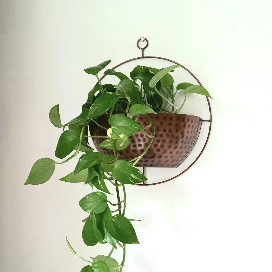 Copper Wall Planter - Image 5