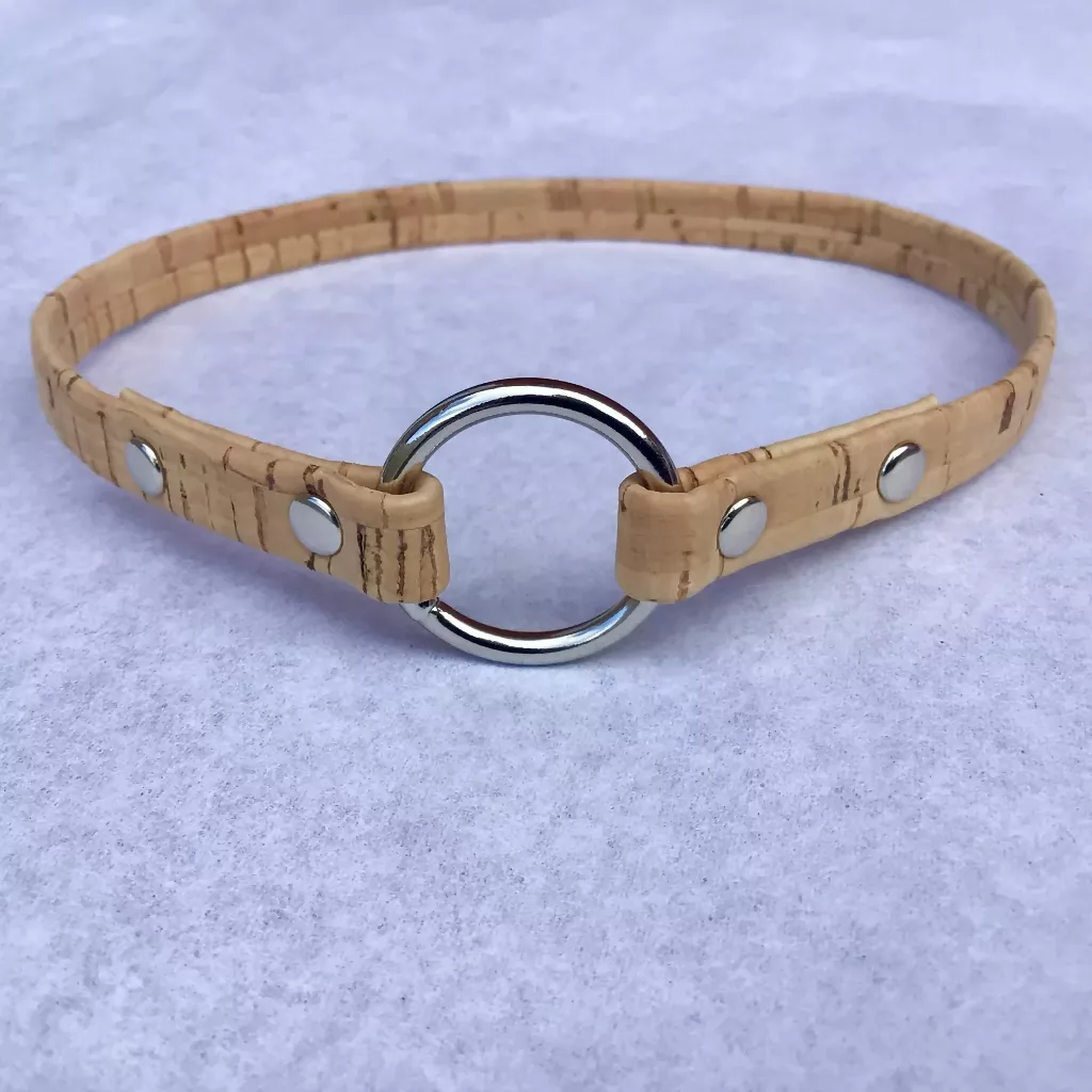 Cork ID House Collar - Image 3