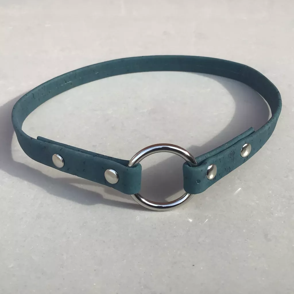 Cork ID House Collar - Image 4