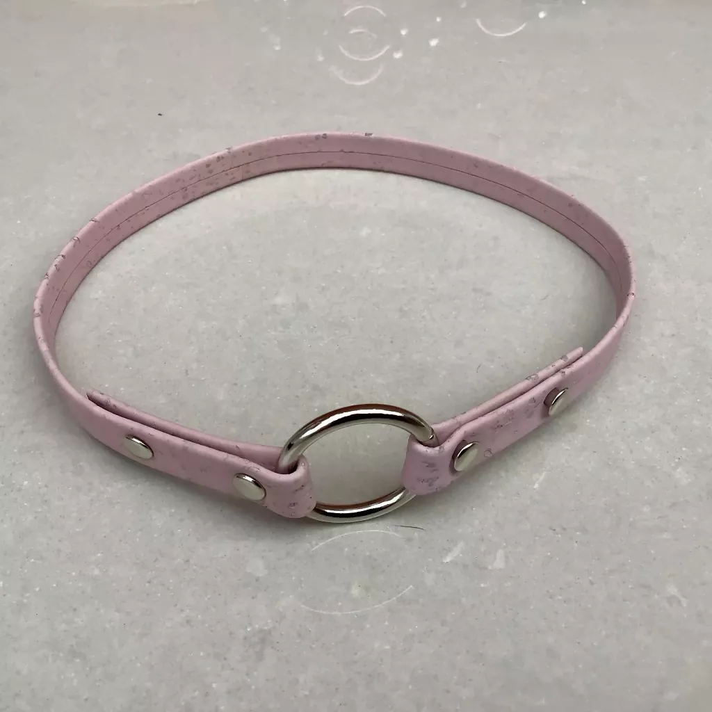 Cork ID House Collar - Image 5