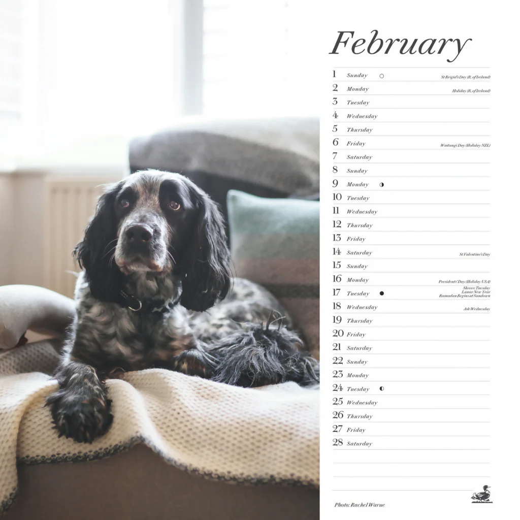 Country Living Diary & Calendar 2026 Bundle - Image 5