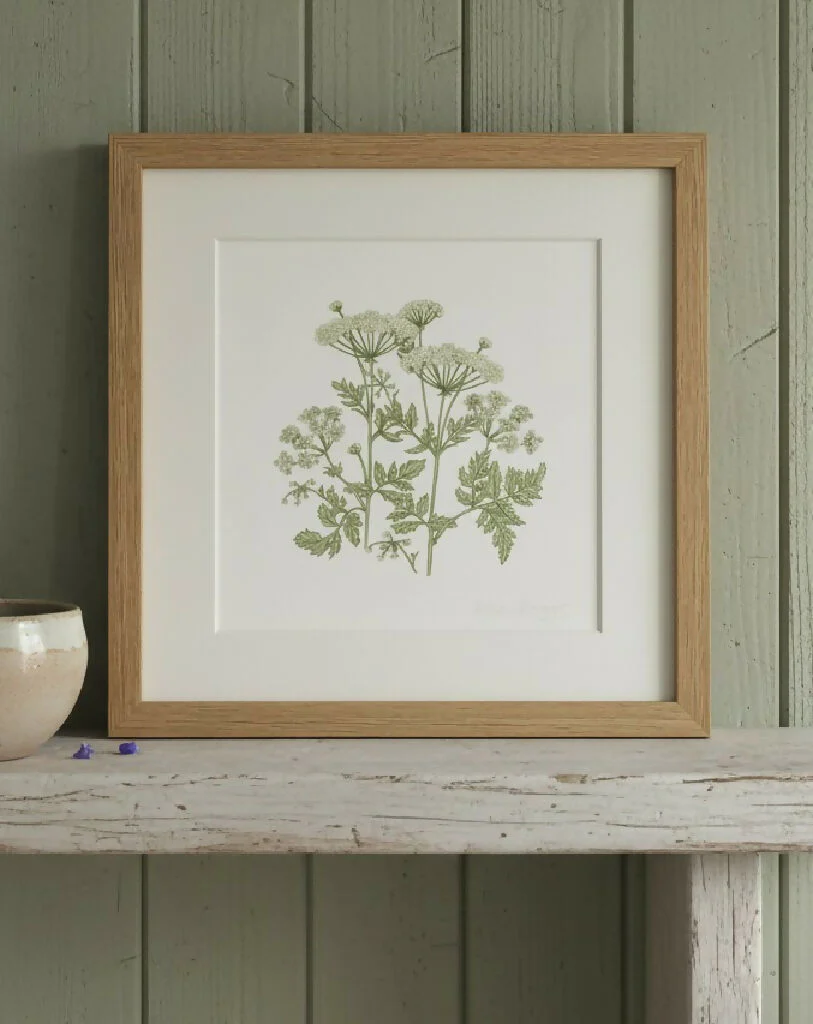 Cow Parsley Signed and Mounted Giclée Art Print - Image 3