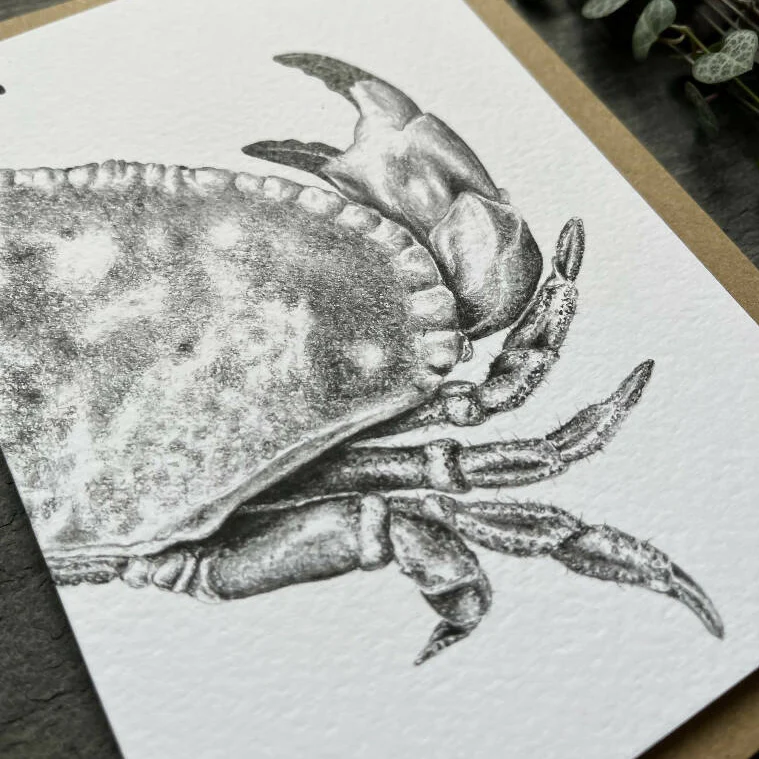 Crab Blank Greetings Card - Image 2