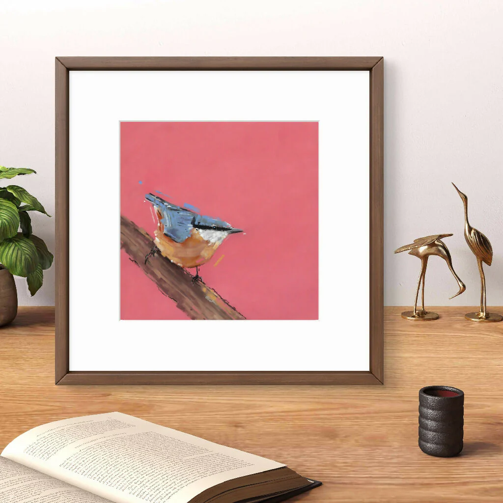 Curious Climber Nuthatch Giclee Fine Art Print with Coral Pink Background