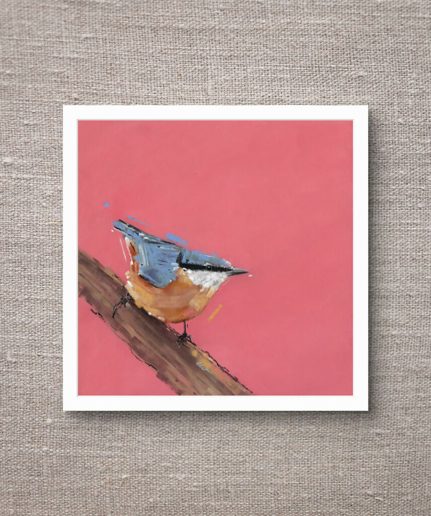 Curious Climber Nuthatch Giclee Fine Art Print with Coral Pink Background - Image 3