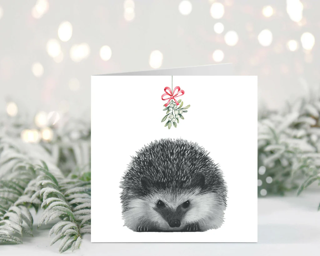 Cute Hedgehog Mistletoe Christmas card illustration, perfect for animal lovers