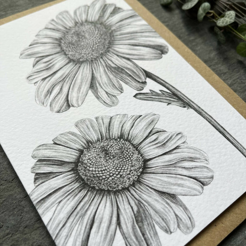 Daisy Blank Greetings Card - Image 2