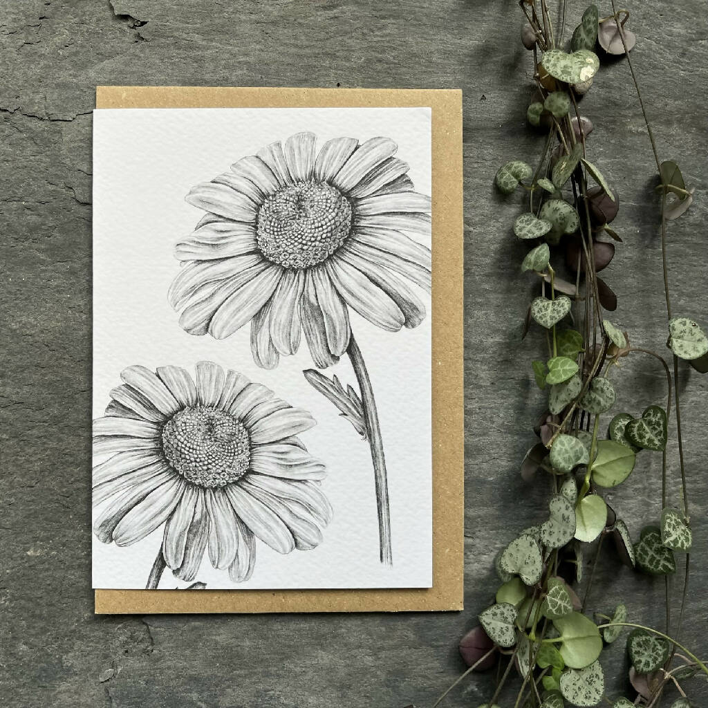 Daisy Blank Greetings Card - Image 3