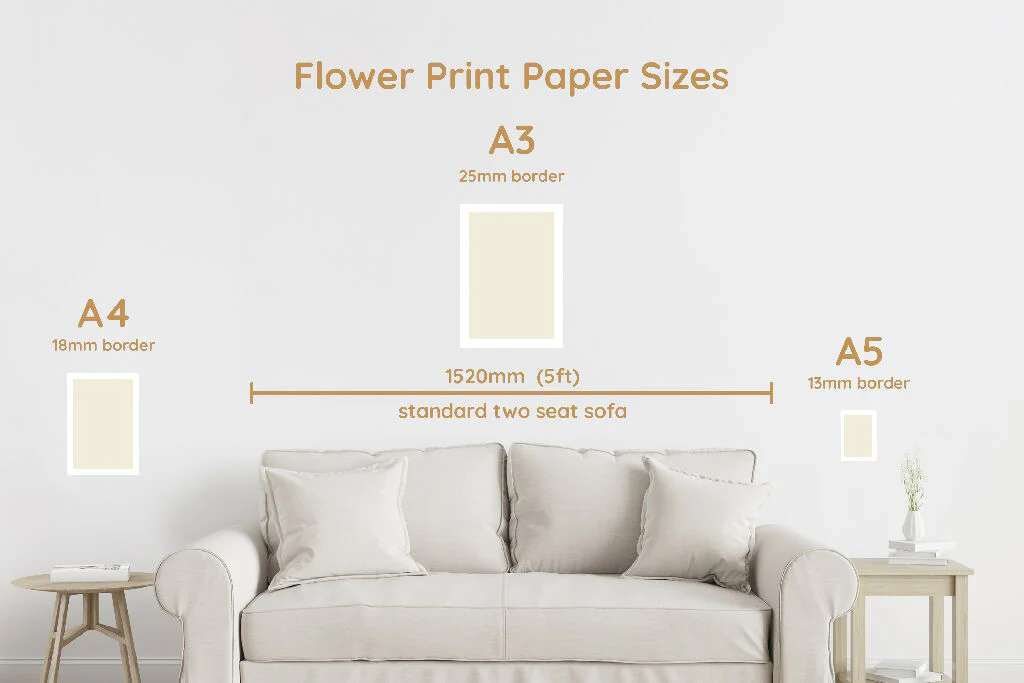 Flower Art Print for Home Interiors 'Daisy' - Image 6