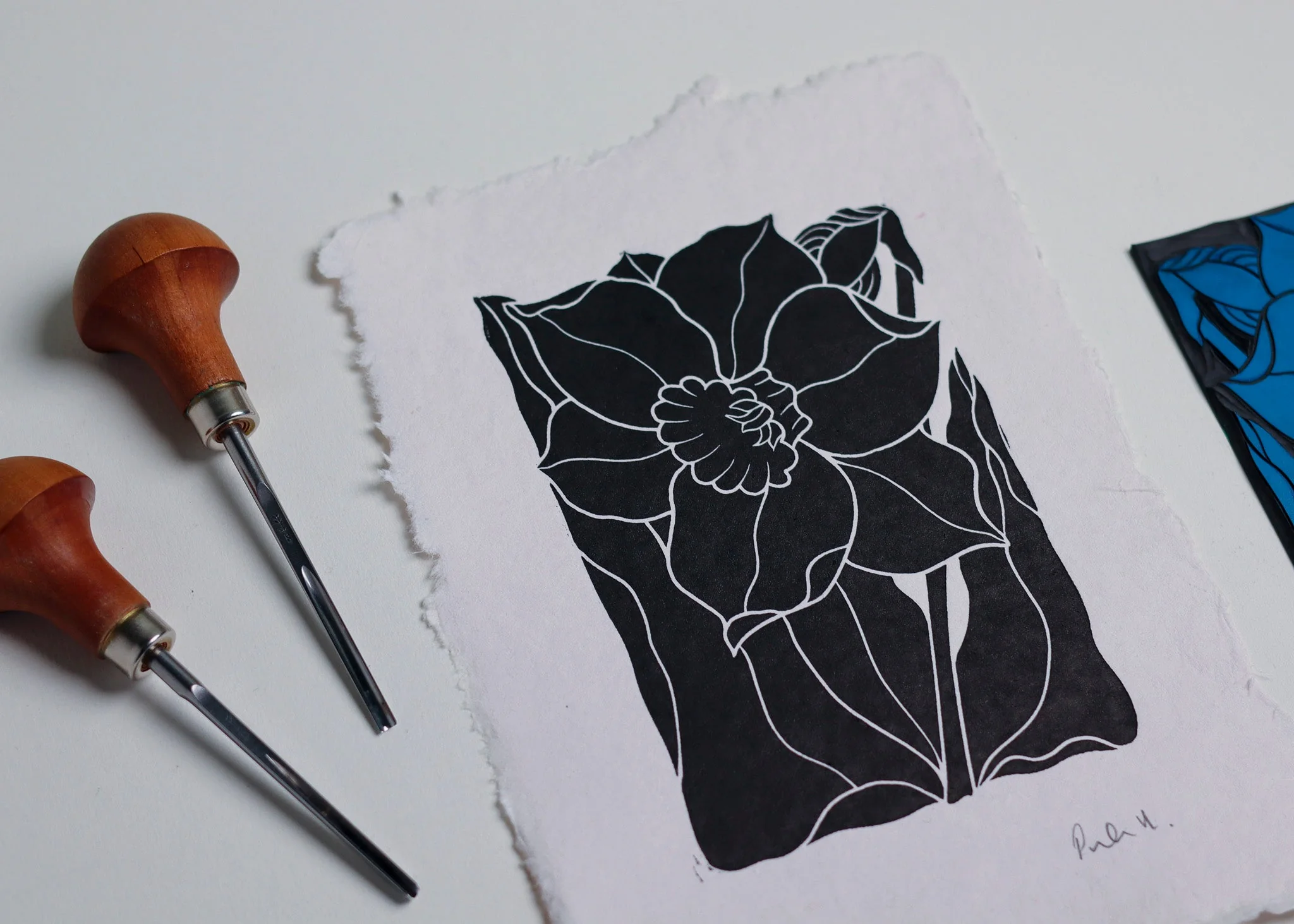 Dancing Daffodil Linocut | Handprinted A5 Art Print on Cotton Rag Paper - Image 3