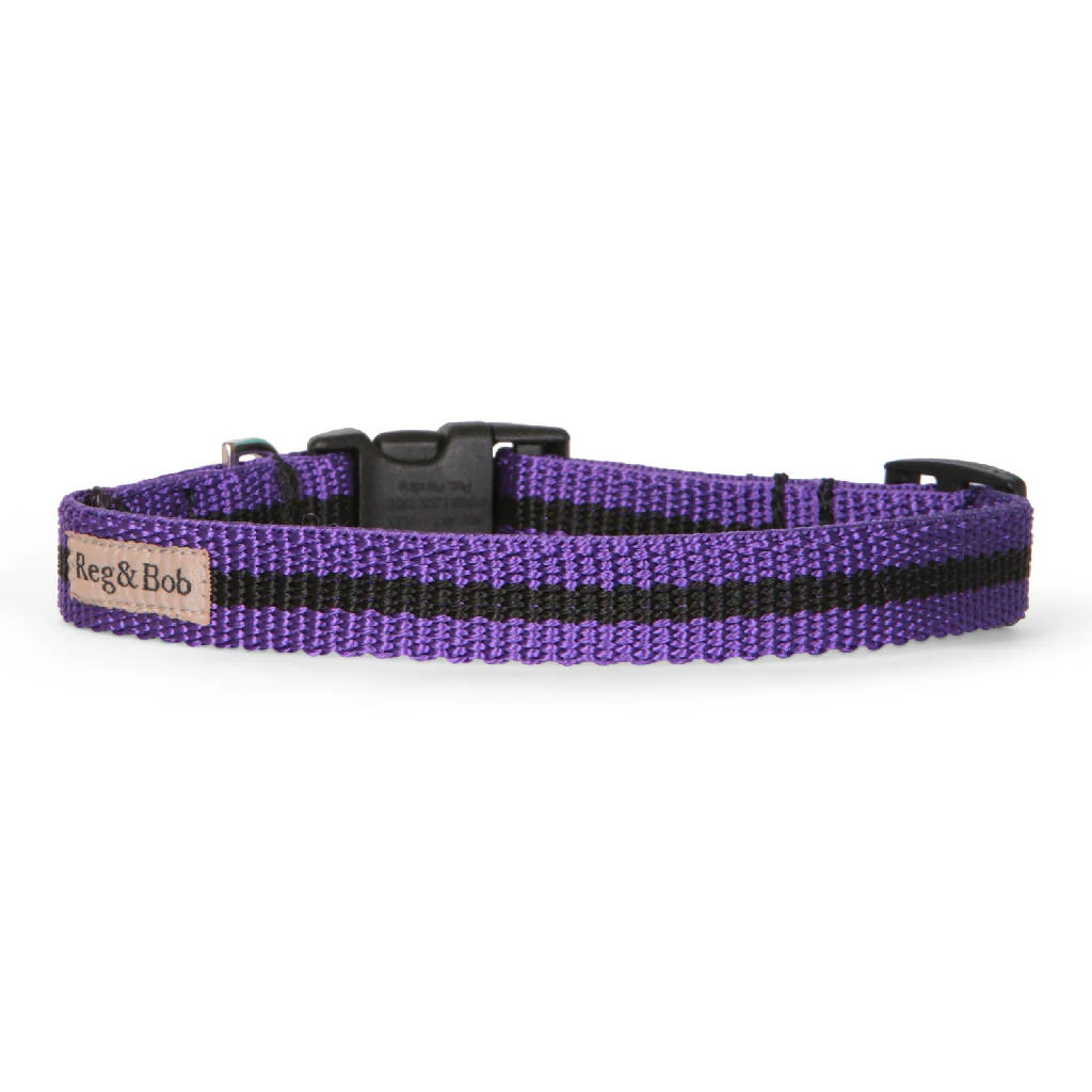 Dog Collar In Purple And Black Stripe - 4 sizes - Image 3