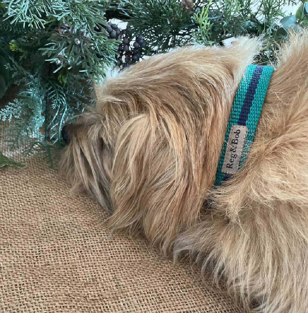 Dog Collar In Teal And Navy Stripe - 4 sizes - Image 5