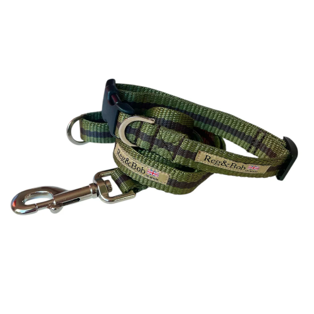 Dog Collar & Lead Set In Khaki And Brown Stripe - 4 sizes - Image 3