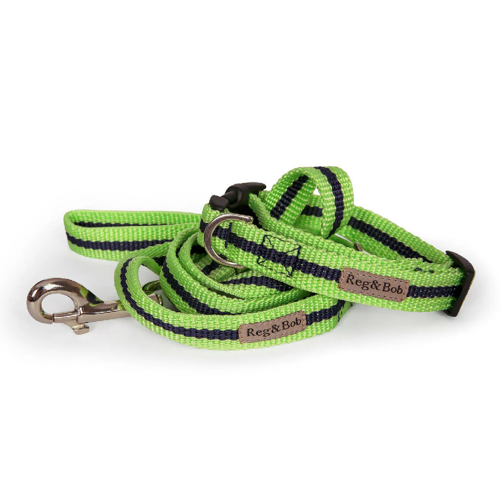 Dog Collar & Lead SET in Lime And Navy Stripe - Image 4