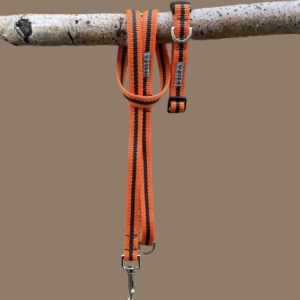 Dog Collar & Lead SET in Orange And Brown Stripe - 4 sizes