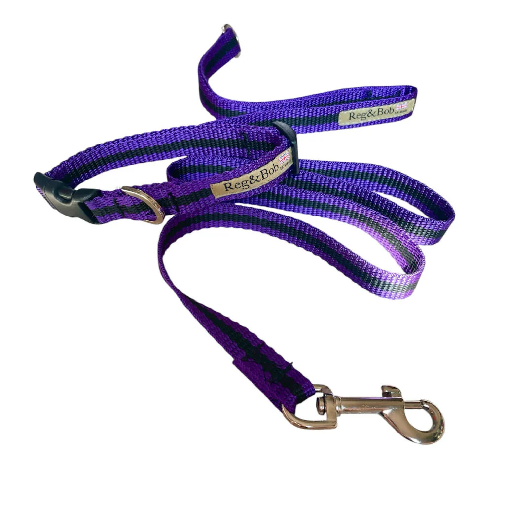 Dog Collar & Lead SET in Purple And Black Stripe - 4 sizes - Image 4