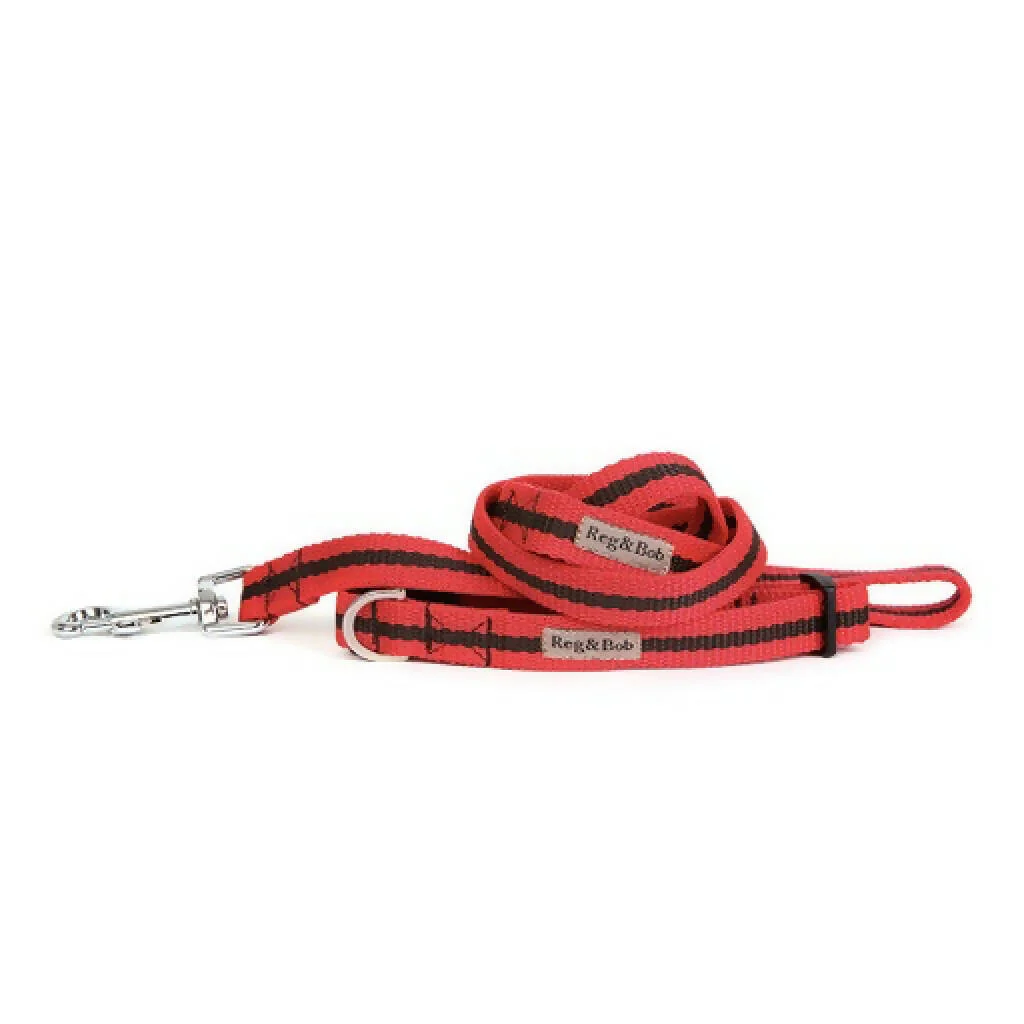 Dog Collar & Lead SET in Red And Brown Stripe - 4 sizes - Image 2