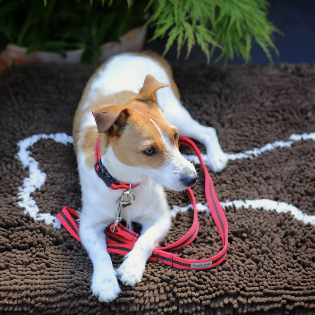 Dog Collar & Lead SET in Red And Brown Stripe - 4 sizes - Image 3