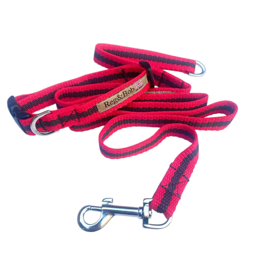 Dog Collar & Lead SET in Red And Brown Stripe - 4 sizes - Image 4