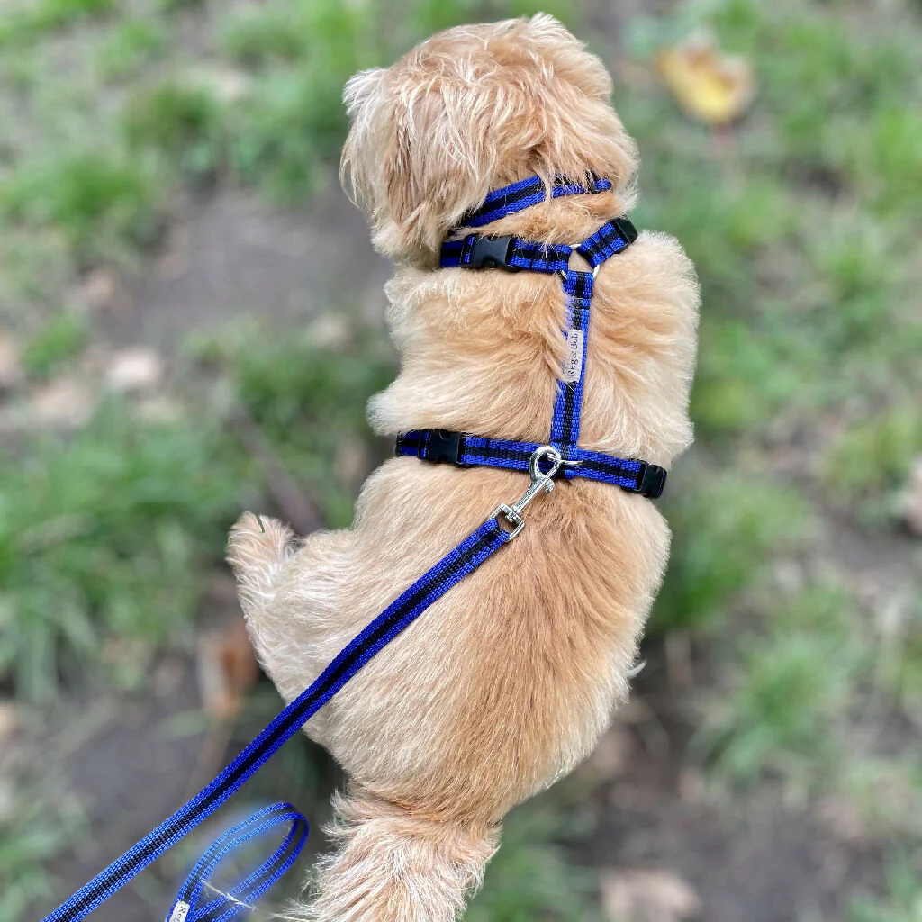 Dog Harness In Blue and Black Stripe - sizes - SMALL - S/M - M/L - Image 2