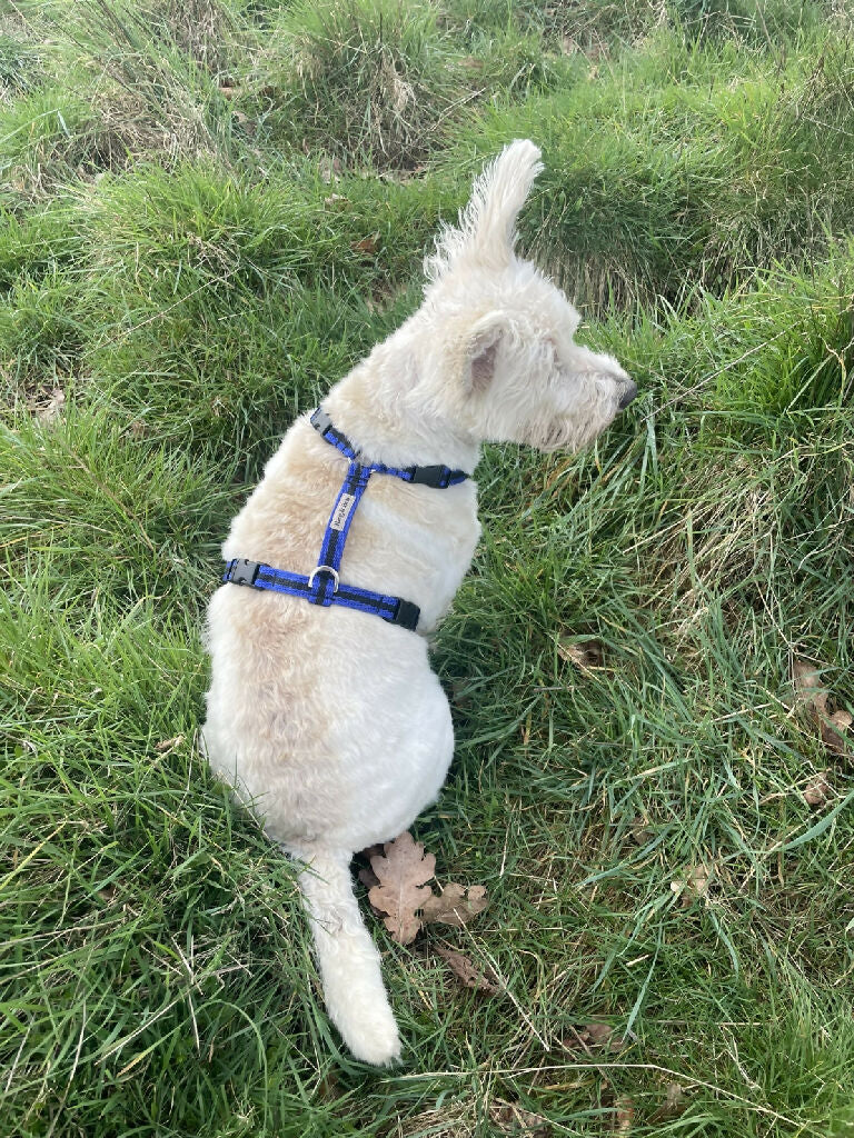 Dog Harness In Blue and Black Stripe - sizes - SMALL - S/M - M/L - Image 3