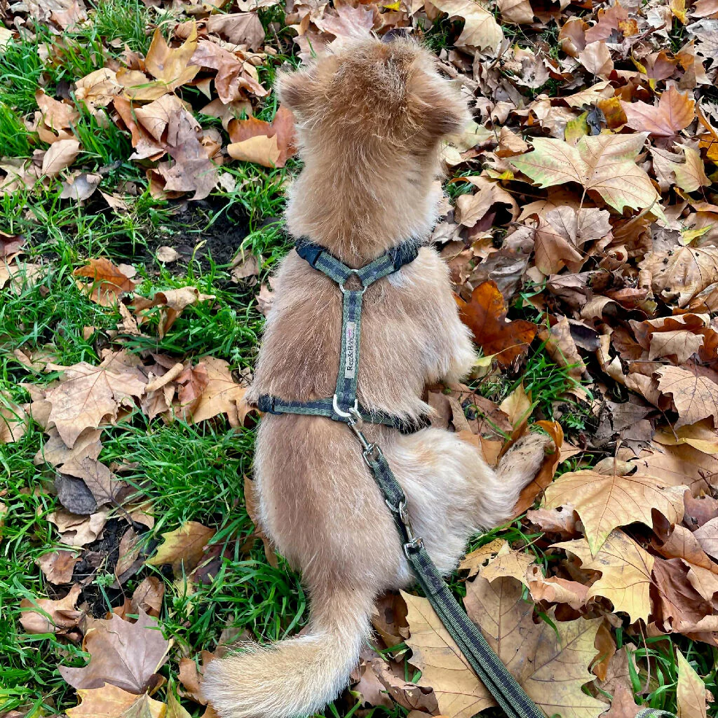 Dog Harness in Khaki and Brown stripe - sizes - SMALL - S/M - M/L - Image 6