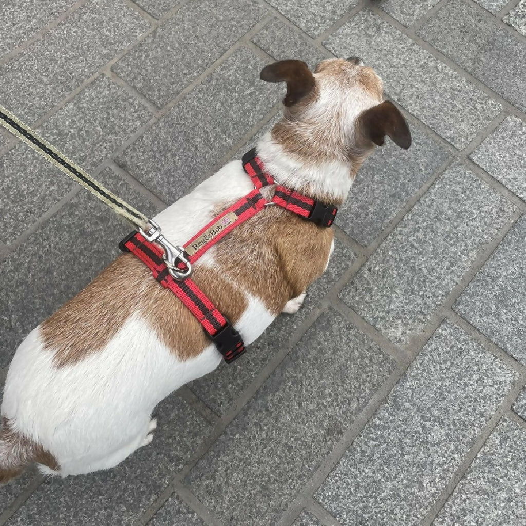 Dog Harness In Red and Brown Stripe - sizes - SMALL - S/M - M/L - Image 12