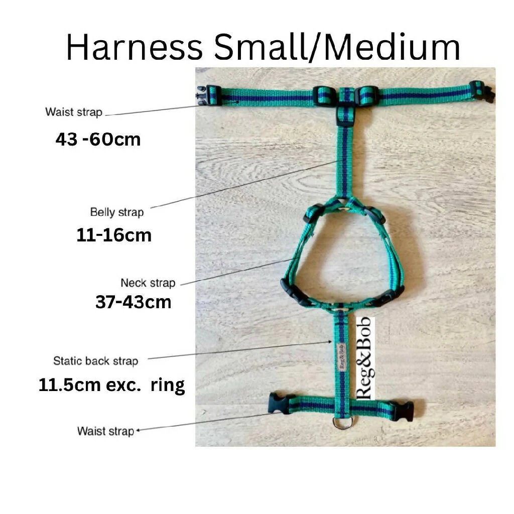 Dog Harness In Teal And Navy Stripe - sizes - SMALL - S/M - M/L - Image 4