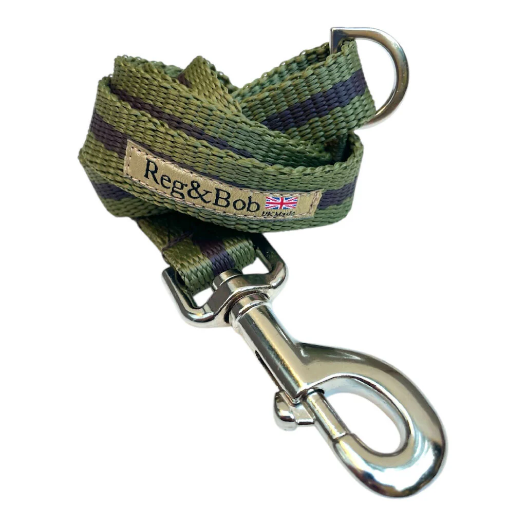 Dog Lead In Khaki And Brown Stripe - 2 sizes - Image 3
