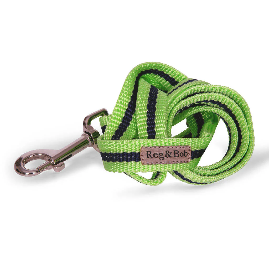 Dog Lead In Lime And Navy Stripe - Image 2