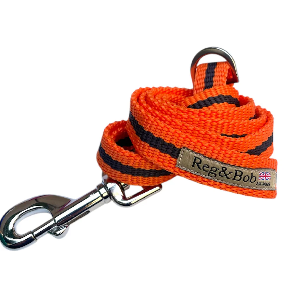 Dog Lead In Orange And Brown Stripe - 2 sizes - Image 3