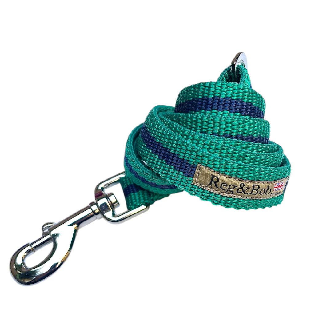 Dog Lead In Teal And Navy Stripe - 2 sizes - Image 2