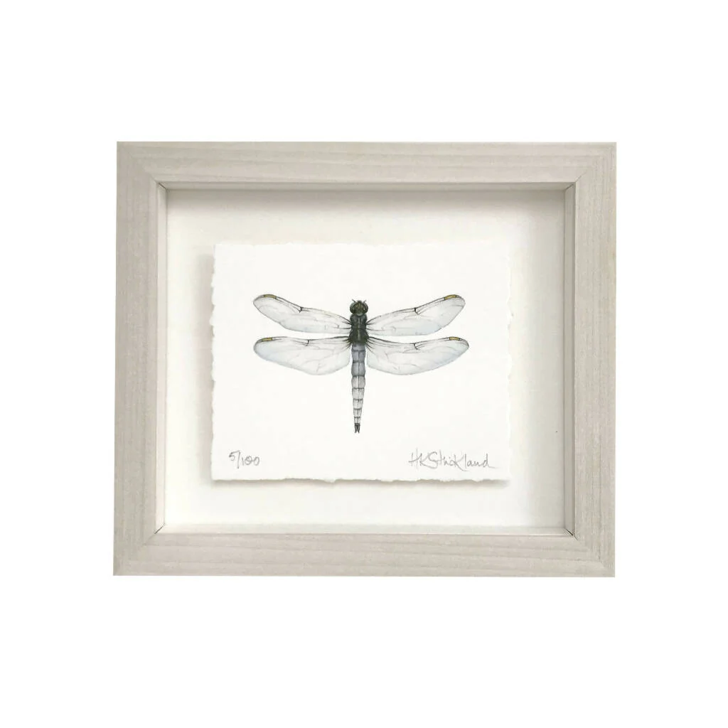 Dragonfly Framed Print - Image 2