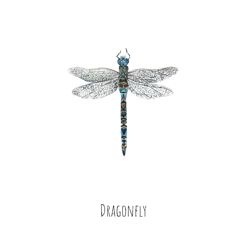Dragonfly Watercolour Art Print - Image 2