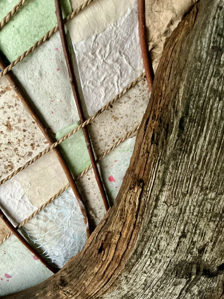 Driftwood Rib - Image 3