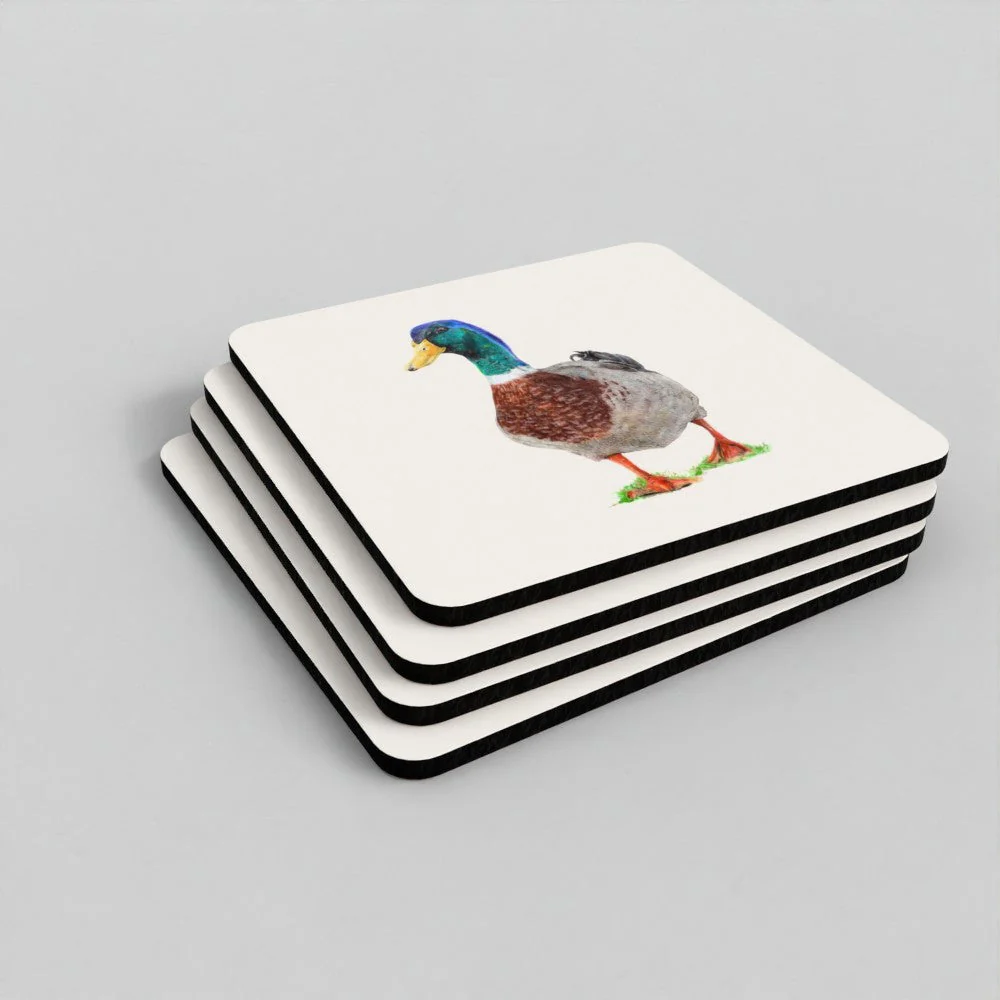 Duck Coaster Set - British Wildlife Art - Image 3