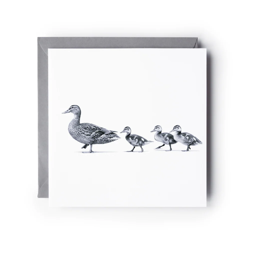 Ducks in a Row Greeting Card – Hand Drawn Cute Countryside Wildlife Illustration Card - Image 4