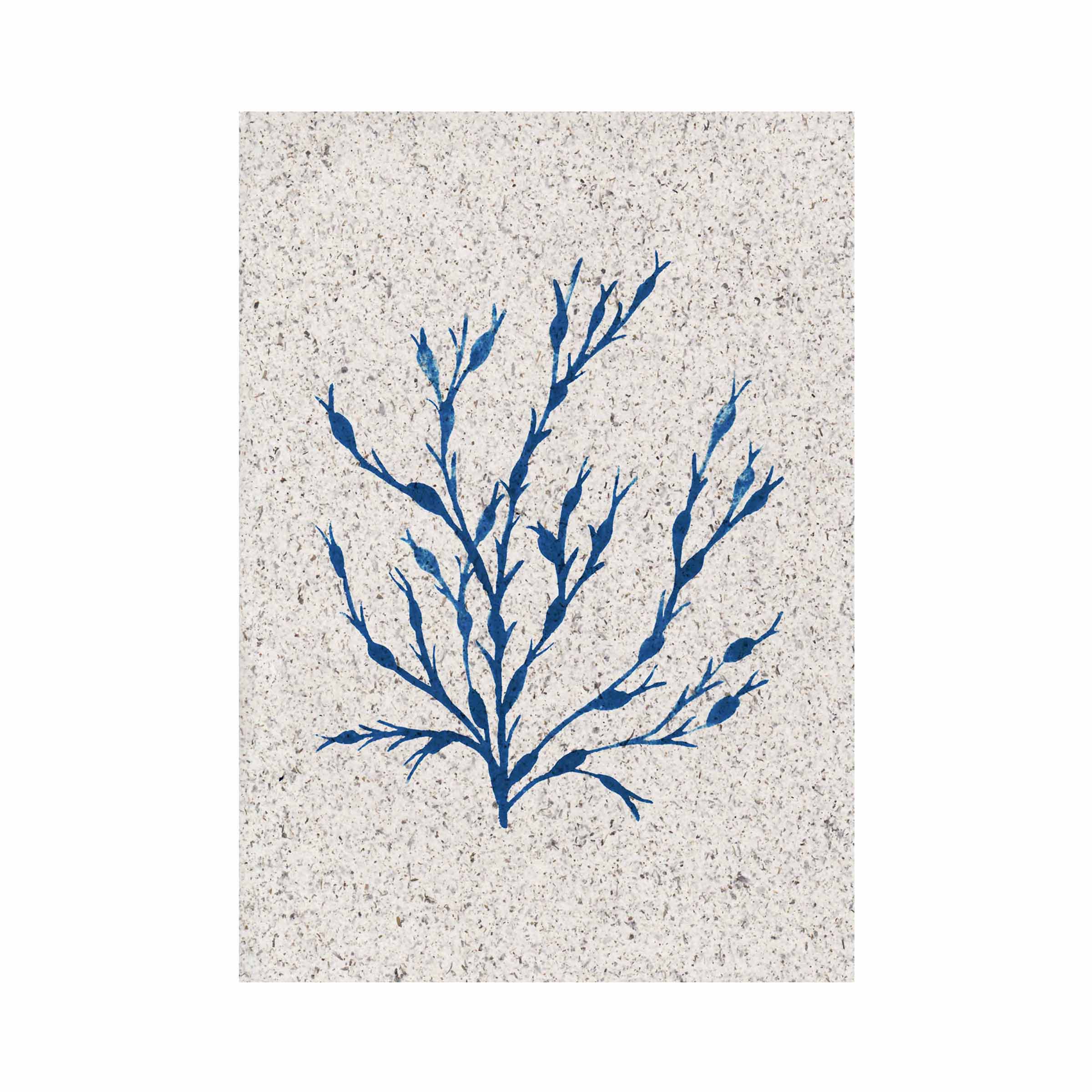 Egg Wrack | A5 | seaweed paper - Image 2