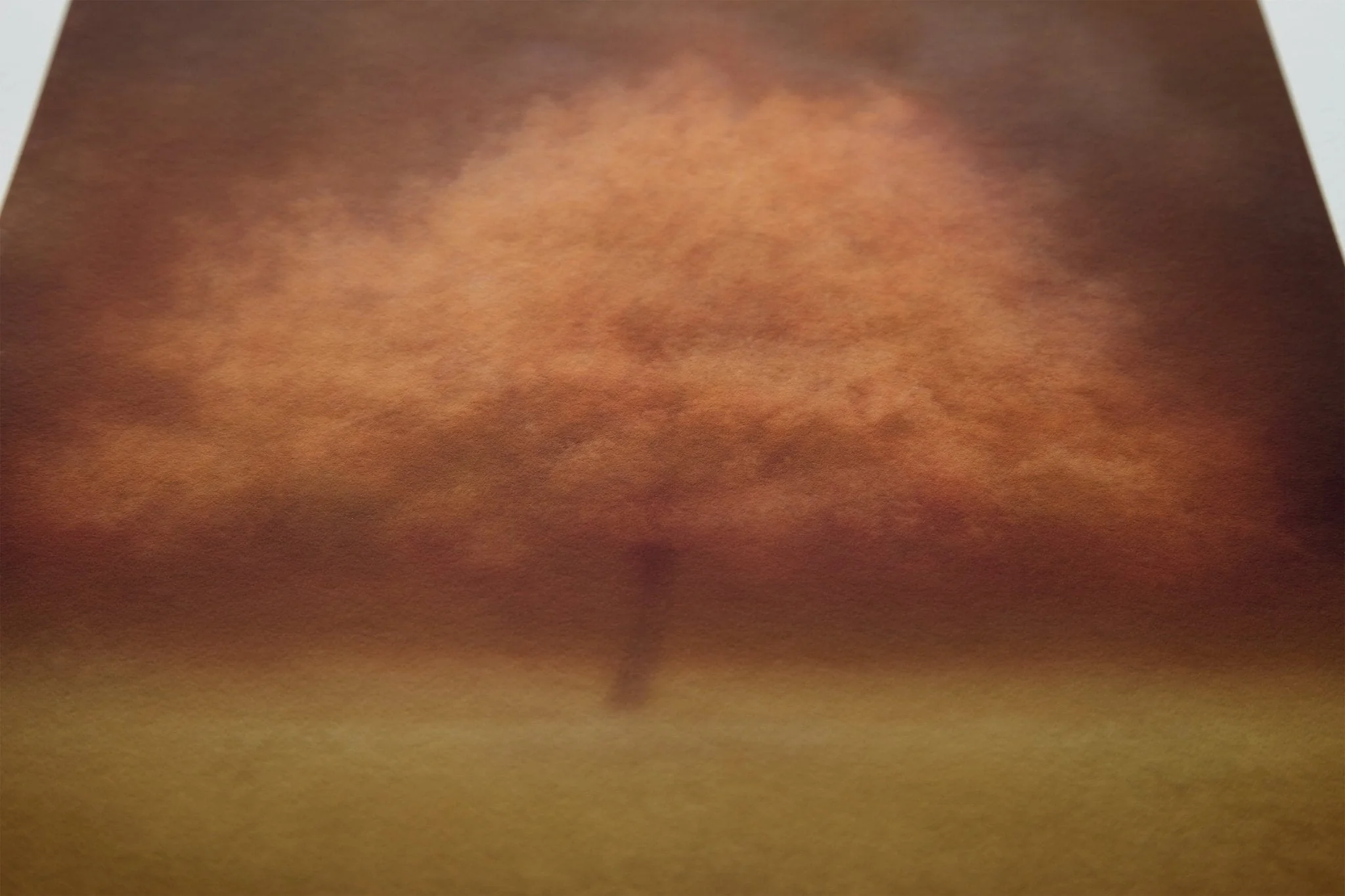 Autumnal Fine Art Tree Print 'Eilan' - Image 10