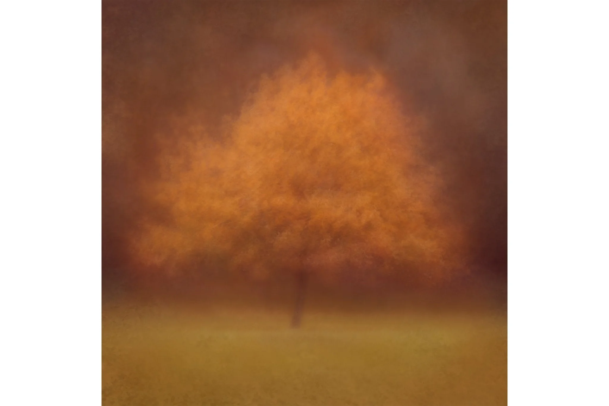 Autumnal Fine Art Tree Print 'Eilan' - Image 3